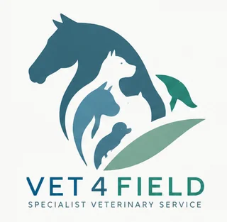 Vet 4 Field